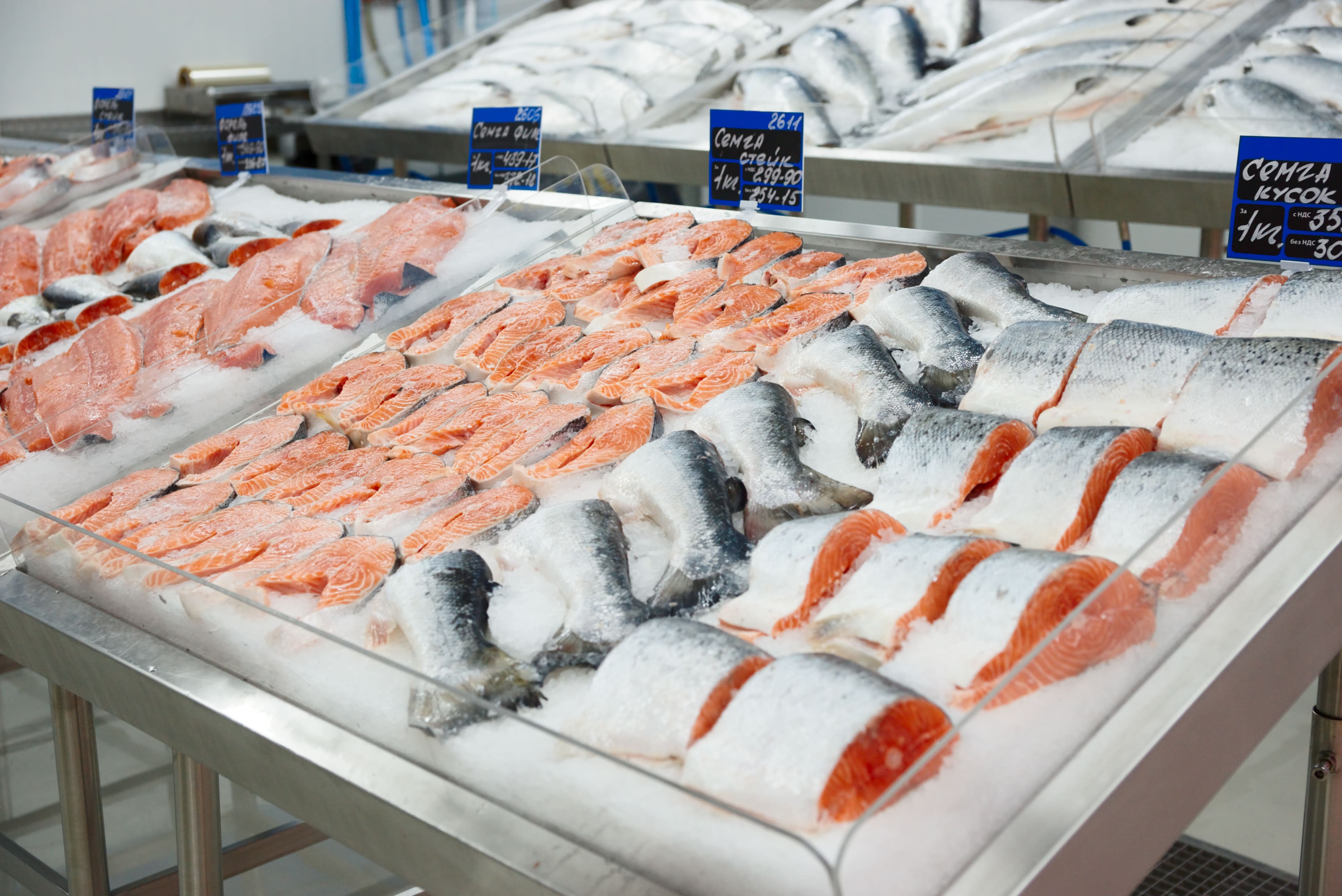 A nossa oferta de produtos para peixarias do setor retalho - Meigal Alimentação