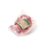 Abanicos de Porco Ibérico