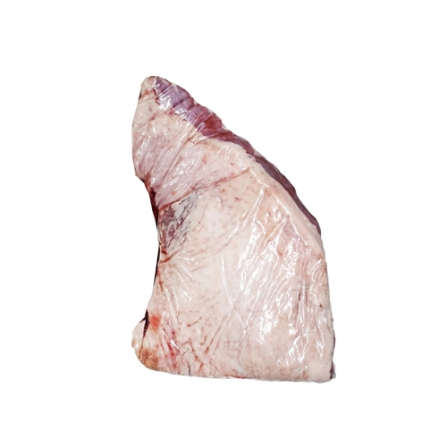 Maminha Angus de Bovino Uruguai