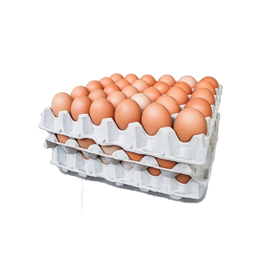 Ovo L Cartão de 5 Dúzias