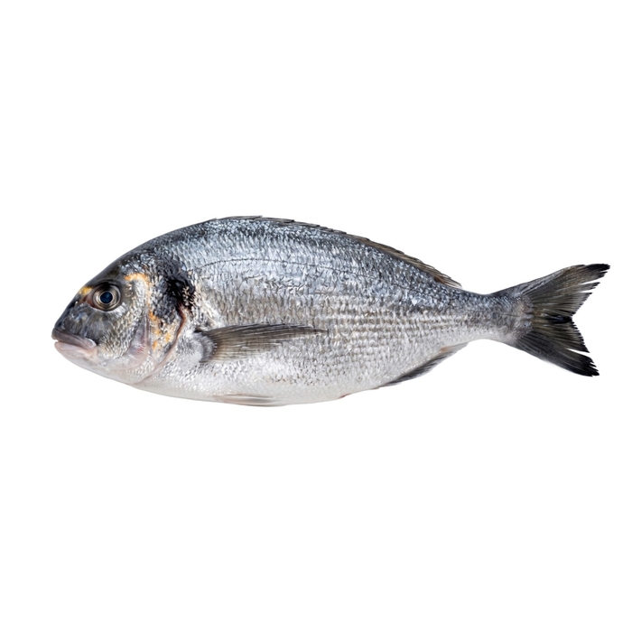 Madeira Gilthead Seabream 200/300 - 1000020462